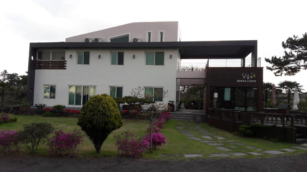Moon Forest Guesthouse Jeju Dış mekan fotoğraf