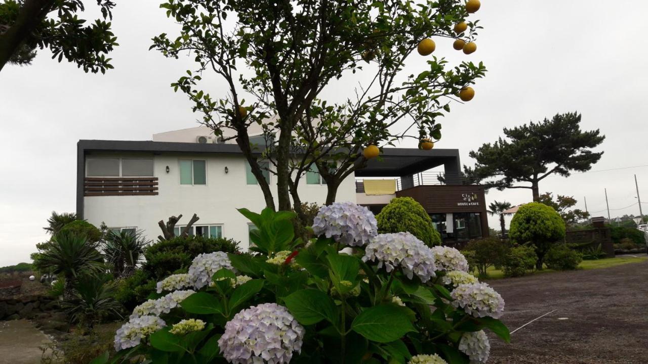 Moon Forest Guesthouse Jeju Dış mekan fotoğraf